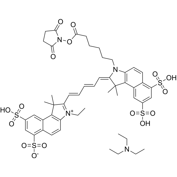 Cy5.5-SE TEA (Cyanine5.5 NHS ester TEA)